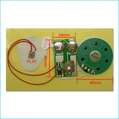 Greeting Card Voice Chip with High Quality