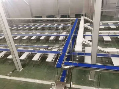 Slaughter Division Conveyor Belt Ztl-400