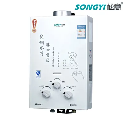 Kitchen Appliance Energy-Saving Flue Type Gas Water Heater for Indoor Installation