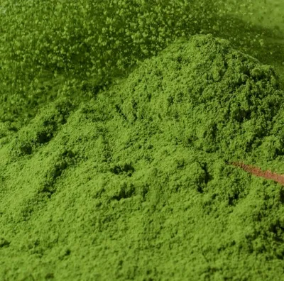 Culinary Grade Matcha Powder - Organic Green Tea for Latte & Ice Cream