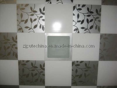 PVC Ceiling Panels (6800)