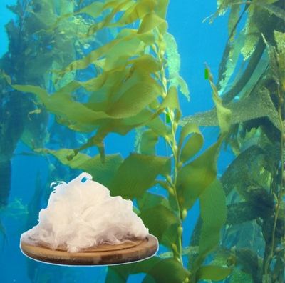 Alginate Fiber for for Non-Woven Material.