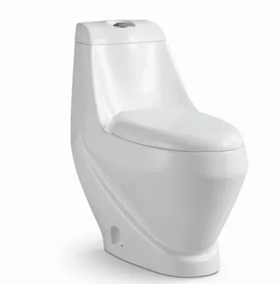Sanitary Ware Water Closet Bathroom Modern Western Wc Ceramic One Piece Toilet