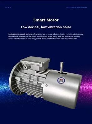 High Power 3 Phase Asynchronous AC Electric Motor