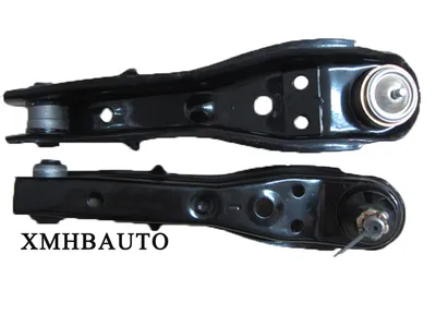 Japan Car Control Arm for Toyota Corolla (48069-19125)