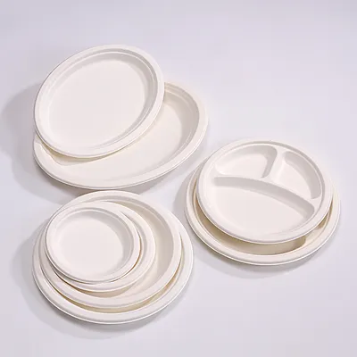 9 Inch Bagasse Disposable Paper Plate