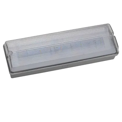 CE Certificate 3h LED Emergency Wall Mounted IP65 Waterproof Light