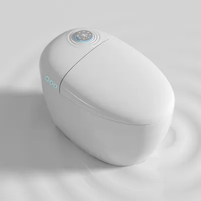Egg Shape Auto Intelligent Toilet with Woman Bidet