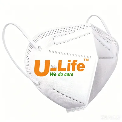 N95 Mask