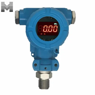 Reliable Explosion-Proof Pressure and Level Sensors with LED Display