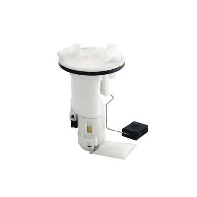 Zhuhai Duoleimi Technology Co., Ltd.