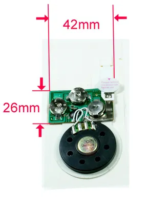 Voice Module for Greeting Card, Stuffed Toys