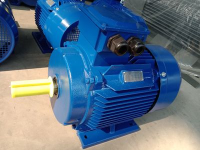 High Quality, High Efficiency, Cast Iron, IEC Standard, Electric Motor