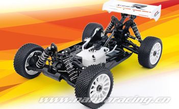 1/8 Racing Buggy (BB1010)