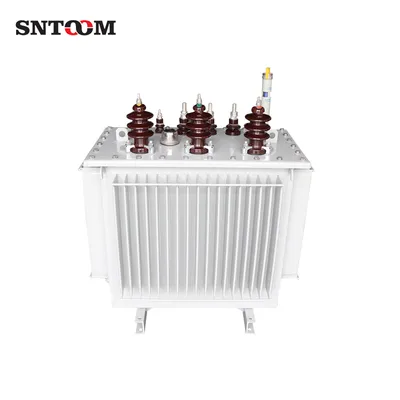 Custom D11 Single Phase Compact Oil Immersed Power Distribution Transformer 5-200 kVA Price