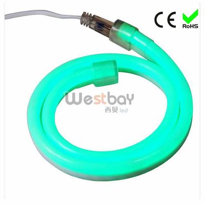 LED Flexible Neon