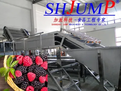 Raspberry Puree/Paste/Pulp Processing Line Machine
