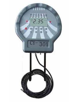 Digital Tire Inflator (CY301)