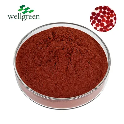 Wellgreen 10% Astaxanthin Extract Natural Astaxanthin Powder