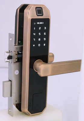Smart Door Lock Fingerprint Pincode M1fare Card Access Timber Door