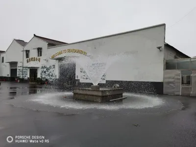 Special Morning Flower Fountain