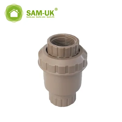 PVC Valve Fittings DIN Standard Check Valve