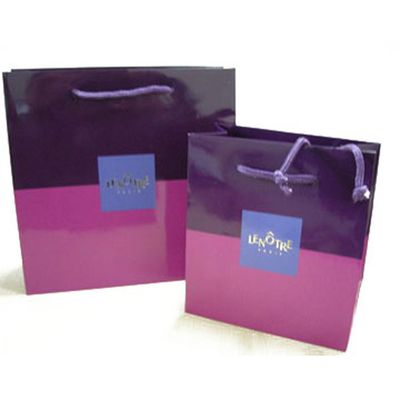 Shopping Bag (XH-01)