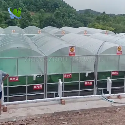 Solar Biogas Plant for Agricultural Waste Recycling and Clean Energy Generation