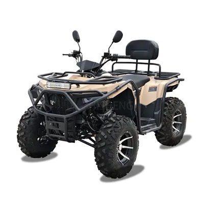 Cheap China ATV 4 Wheels Quad Bike 2 Seaters ATV 200cc 250cc 300cc 350cc 4X4 ATV