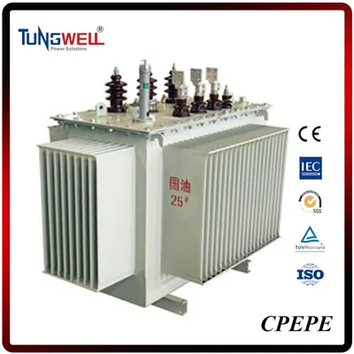 High Voltage Oil-Immersed Distribution Power Transformer with Customized Service