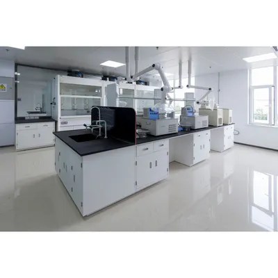 Laboratory Grade Flexible Versatile Biological Lab Bench with Bottle Washer
