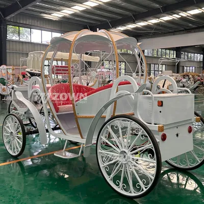 Princess Style Pumpkin Carriage for Park Sightseeing
