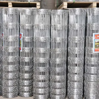 Hot Dipped Galvanized Fence Direct Factory Game Fence