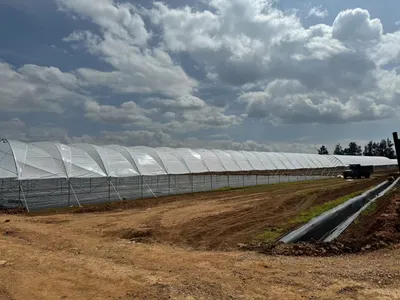 Y-Shaped Canopy Rain Shelter