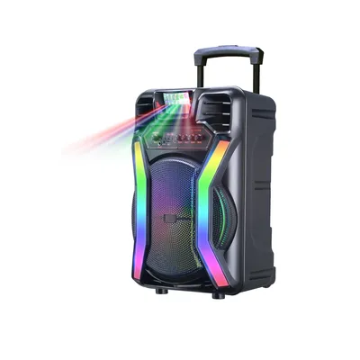 Zzb HS-Ts12h8 Factory Direct Supply Multifunctional out Door Trolley Audio Speaker with Bluetooth