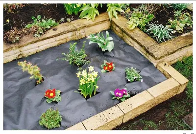 High Quality Non-Woven Weed Mat/PP Ground Cover /Weed Barrier Mat