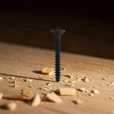 Premium Stainless Steel Drywall Screws with Bugle Head