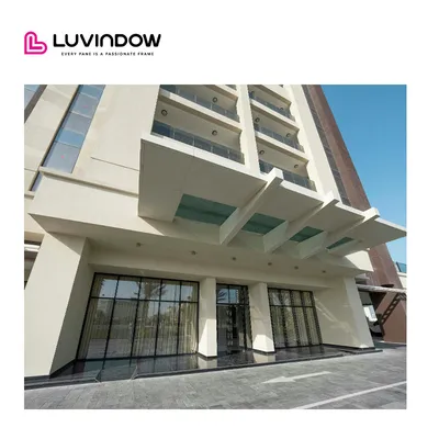 Cheap Price Anti-Theft Insect-Proof Tempered Front Aluminum Steel Glass Commercial Door 110s