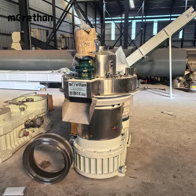 Ring Die 4-10mm 2-3t/H 90kw 380V Biomass Pellet Machine Wood Pellet Mill Cassava Bagasse Pelletizer Pellet Making Machine Biomass Pellet Machine