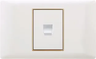 Home Use Gold Frame PC Computer and Telephone Socket