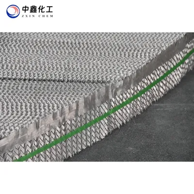 Premium Stainless Precision Structured Corrugated Plate Tower Packing with Plates