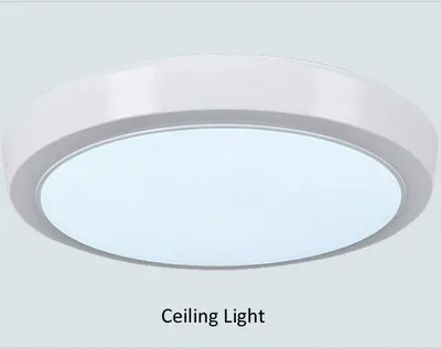 18W LED Ceiling Light/LED Ceiling Lamp for Lighting