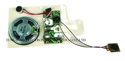 Recordable Greeting Card Module