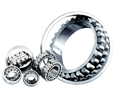 Large Size Bearing