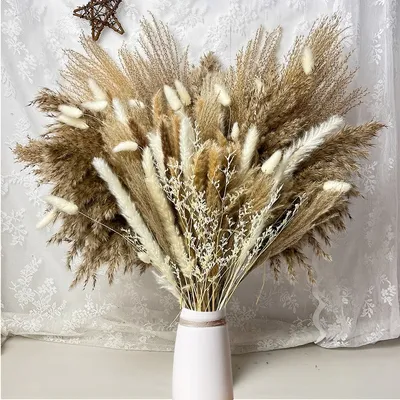 Amazon 100 PCS Bunny Tails Limonium Natural Decorative Pampas Grass for Flower Bouquet