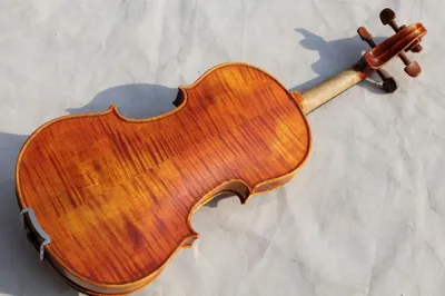 Grading Violin (YSV007)