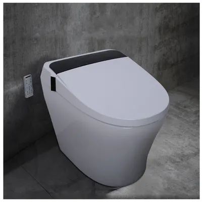 Glazed Ceramic Sanitary Ware One Piece Wc Smart Toilet