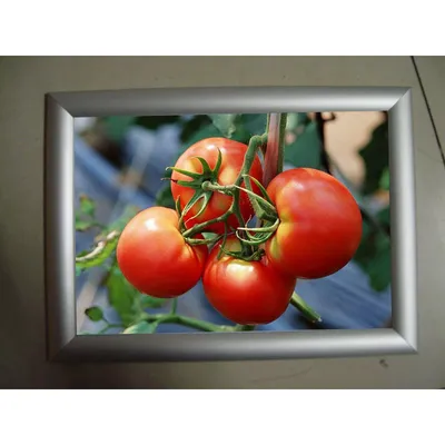 Advertising Aluminum Snap Frame Poster Photo Menu Frame Billboard