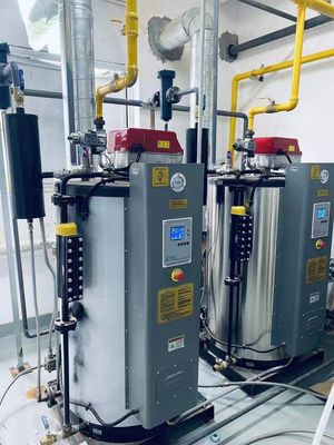 Gas or Oil Steam Boiler for Ironing for Heating