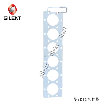 Man Mc11 D2066 D2676 D0836 D0834 Cylinder Head Gasket for Sinotruk
